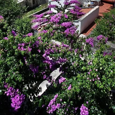 Podgorka Podgora (Split-Dalmatia)